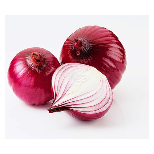 PURE RED ONION Hair Growth Oil- Organic Red Onion Oil,Stimulating Onion Hair Growth Oil